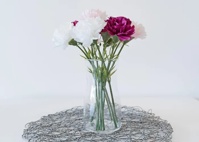 Haus Meeresstrand Beachbude *